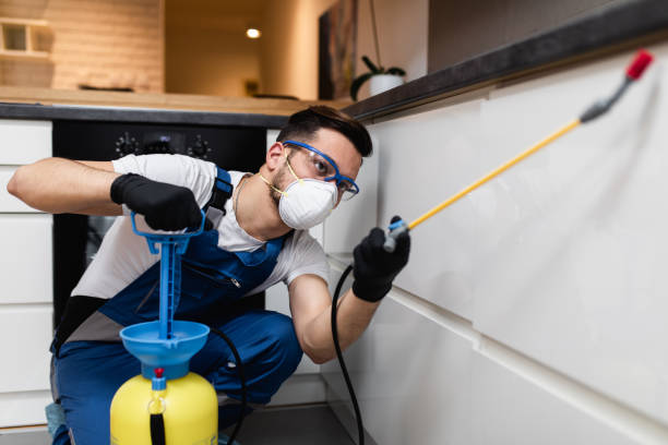 Best Termite Control Services  in Aberdeen, WA
