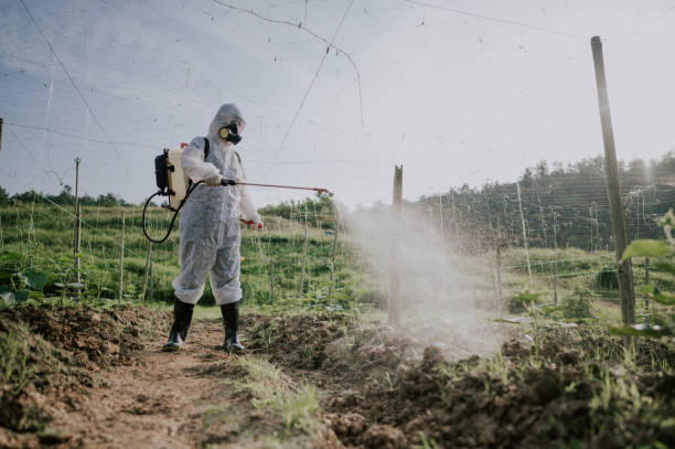 Best Affordable Pest Control Services  in Aberdeen, WA