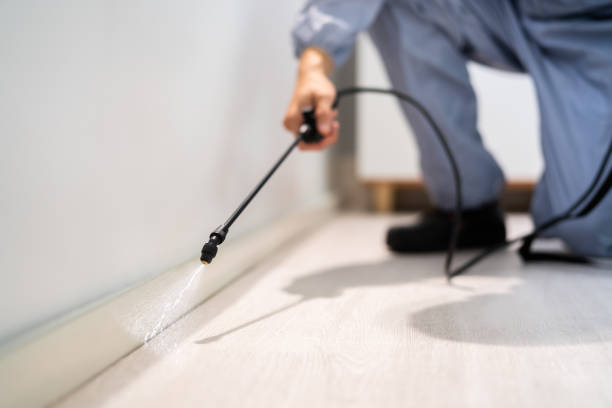 Professional Pest Control in Aberdeen, WA