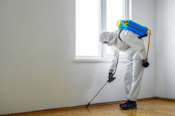 Best Termite Control Services  in Aberdeen, WA