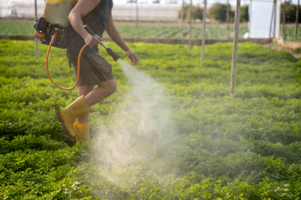 Best Commercial Pest Control Services  in Aberdeen, WA