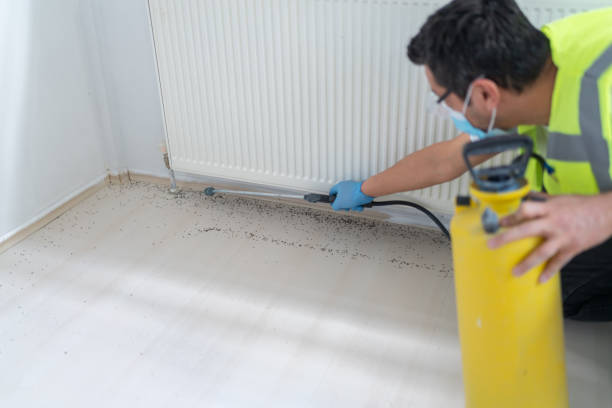 Best Wasp Removal Services  in Aberdeen, WA