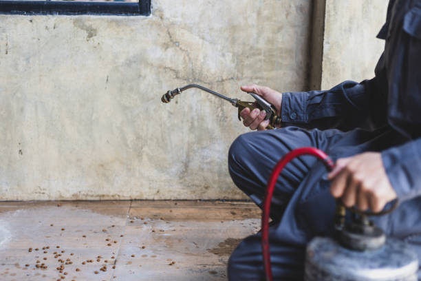 Best Rat Extermination Near Me  in Aberdeen, WA