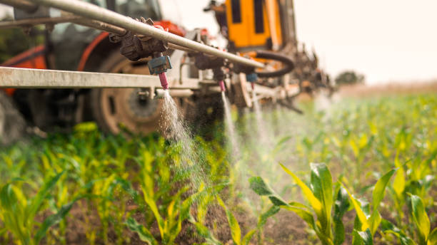  Aberdeen, WA Pest Control Pros