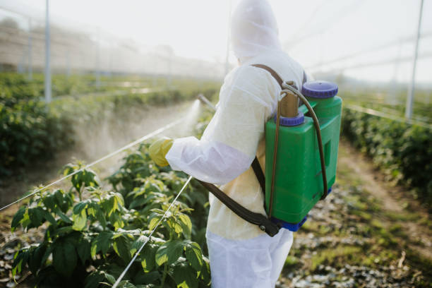 Best Pest Removal Services  in Aberdeen, WA